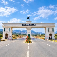 Faisal hills